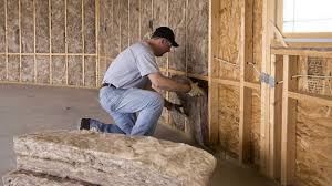 Best Blown-In Insulation in USA